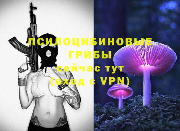 стафф Володарск