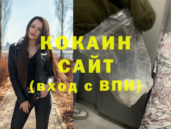 индика Волосово