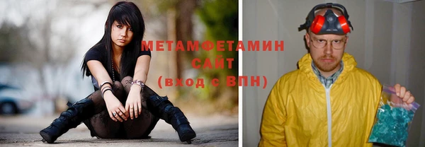 индика Волосово