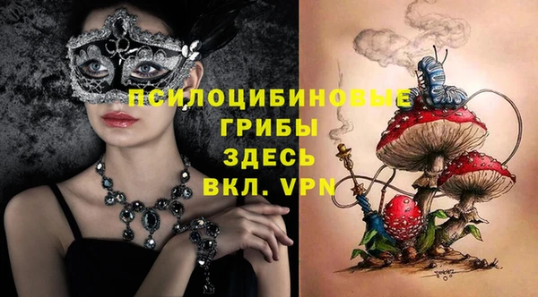индика Волосово
