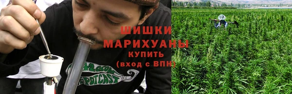 индика Волосово