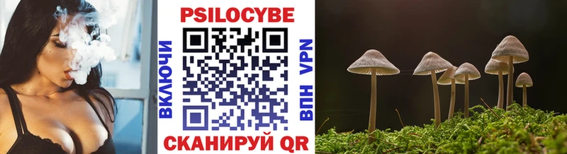 где найти наркотики  Нижний Новгород  Галлюциногенные грибы MAGIC MUSHROOMS 