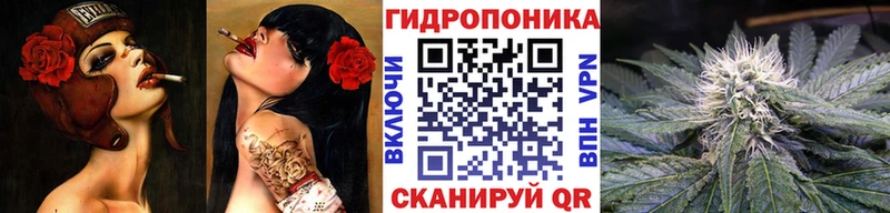 где найти наркотики  Нижний Новгород  Шишки марихуана семена 